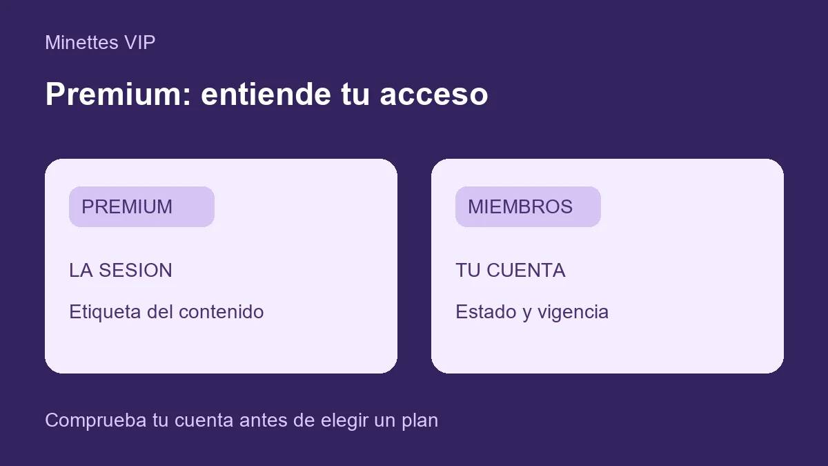 Premium en Minettes VIP: sesiones, acceso gratis y anuncios
